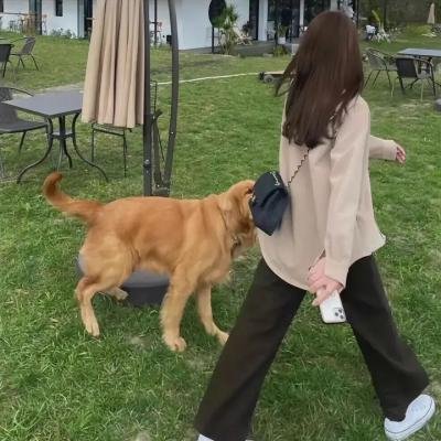 香草